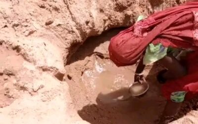 Quand l’eau source de vie devient source de mort : Repenser la gestion communautaire des points d’eau au Tchad
